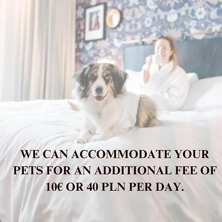 Lumina Comfortable With Balcony